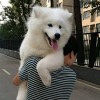 宁夏网友24797