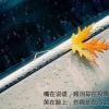 上海网友24326