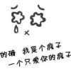 浙江网友10561