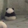 上海网友37217