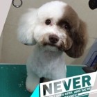 QQ头像