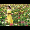 贵州网友13923
