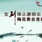 QQ头像