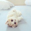 云南网友62369