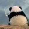 评论头像