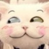 甘肃网友95682