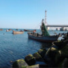 吉林网友80441