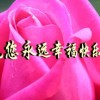 幸花g丽
