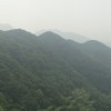 富风民雨月静
