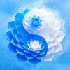 湖北网友55943
