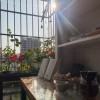 湖南网友73447