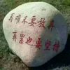 湖北网友59276