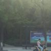 吉林网友88175