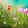 河北网友43343