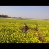 河北网友87942