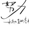 广东网友66442