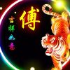 河南网友84032