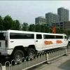 山东网友27103