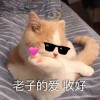 黑龙江网友38766