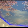 吉林网友35369