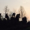 江西网友36330