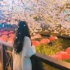 江苏网友88704