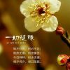 吉林网友84717
