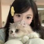 QQ头像