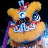 香港网友11406