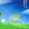 广西网友38973