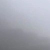 澳门网友38675
