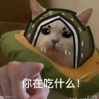 QQ头像