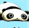 浙江网友92926
