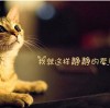 山东网友85585