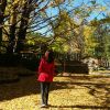 山东网友24096