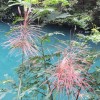 青海网友82420