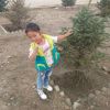 甘肃网友25078
