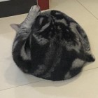 QQ头像