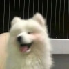 云南网友20298
