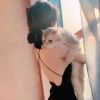 云南网友77930
