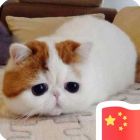 QQ头像