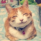 QQ头像
