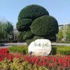 甘肃网友62323