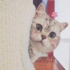 福#水草美包