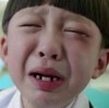 重庆网友55658