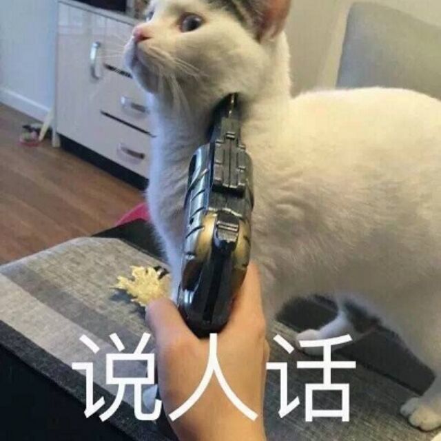QQ郵箱頭像