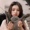 山西网友74819