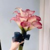 江苏网友90849