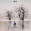 吉林网友96415