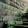 香港网友11930